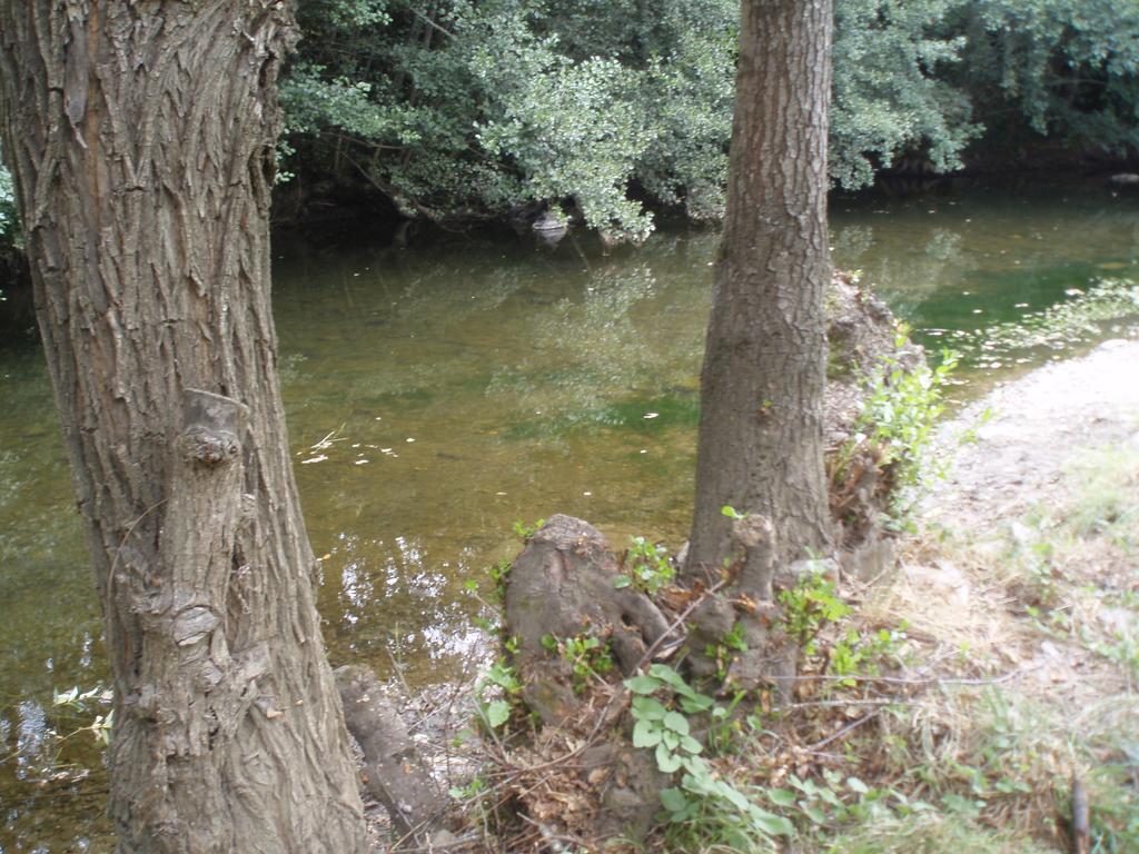 Гостевой дом Moinho Da Ponte Velha Браганса Экстерьер фото